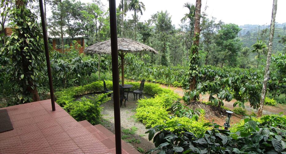 Greenex Farms, Wayanad 3